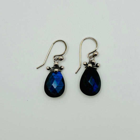 "Swarm" - Labradorite Earrings