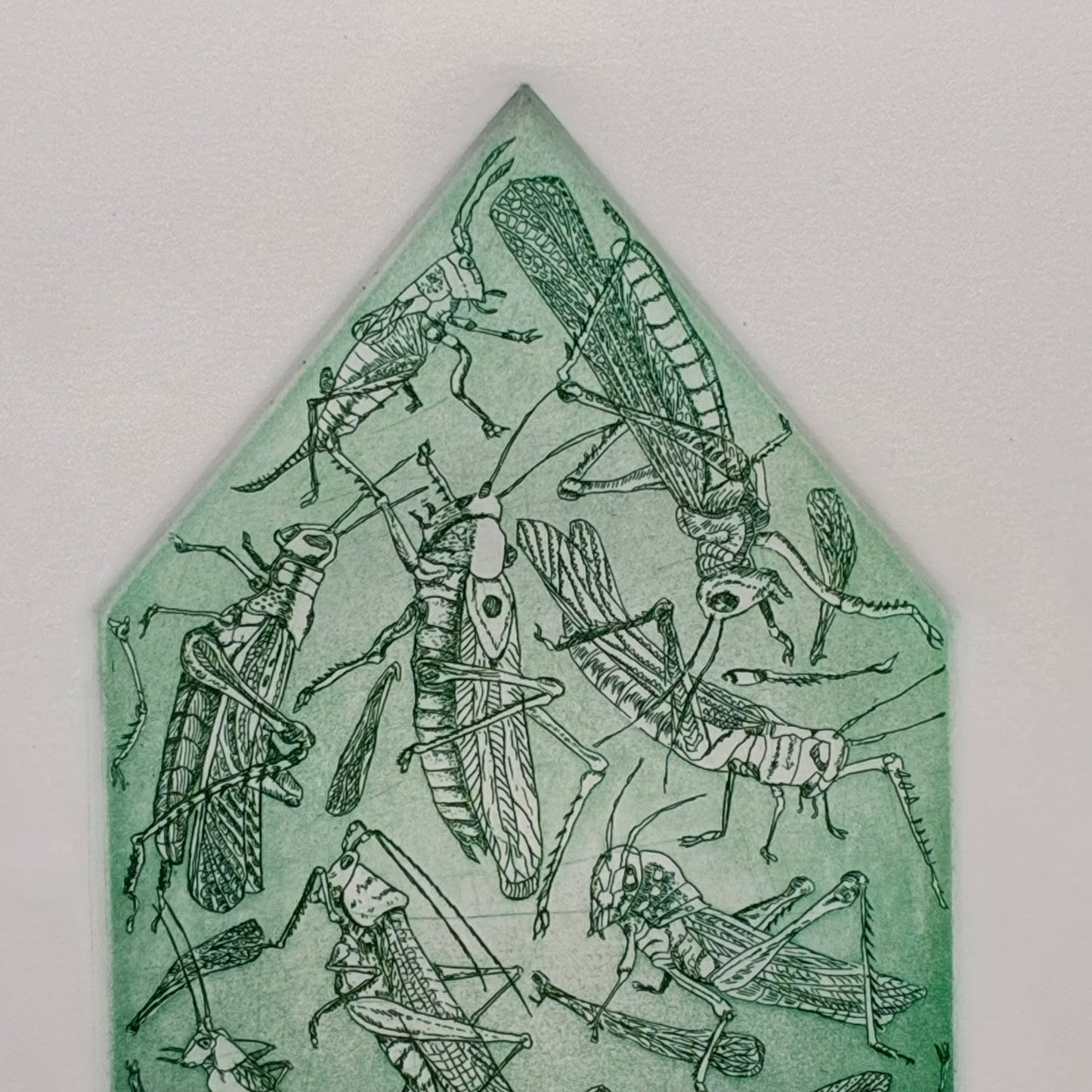 Grasshopper house