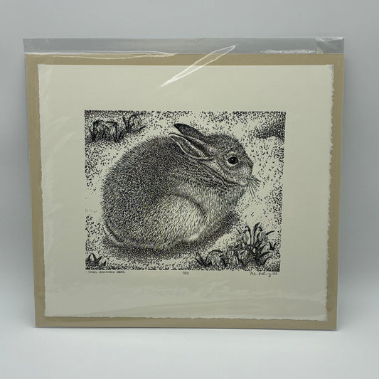 Small Mountain Hare 6/50