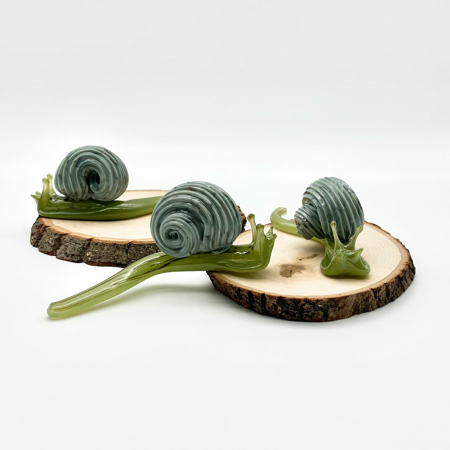 Glass Snails