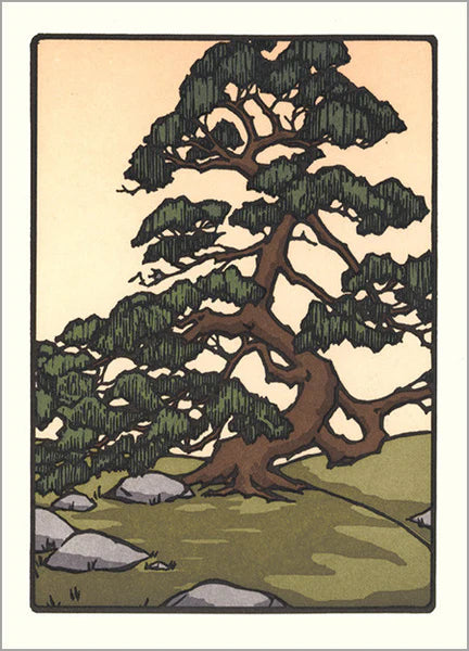 Japanese Pine - Card