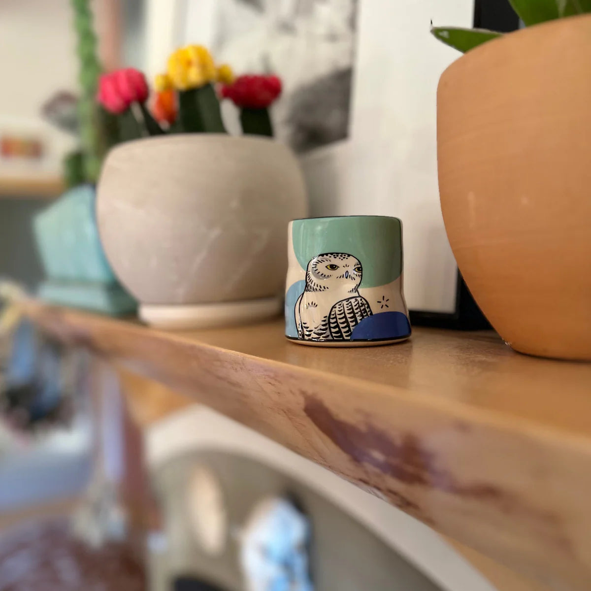 Lucky Snowy Owl Cup - Medium