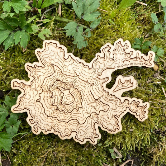 Mt. Rainer Topography Coaster - Single