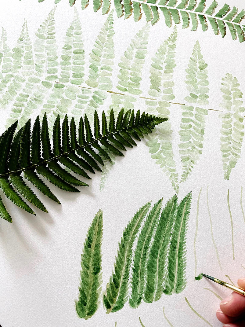 Tacoma Map Ferns Postcard