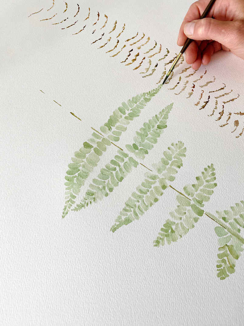 Tacoma Map Ferns Postcard