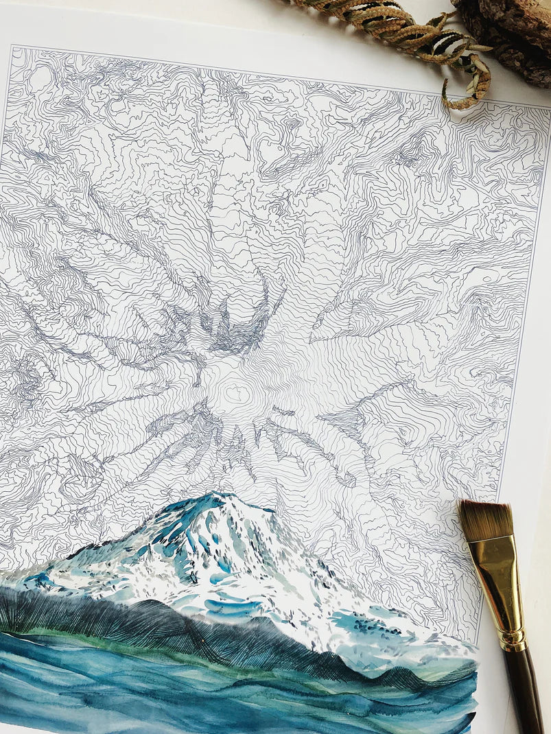 Mt. Rainier Topographical Print 11x14