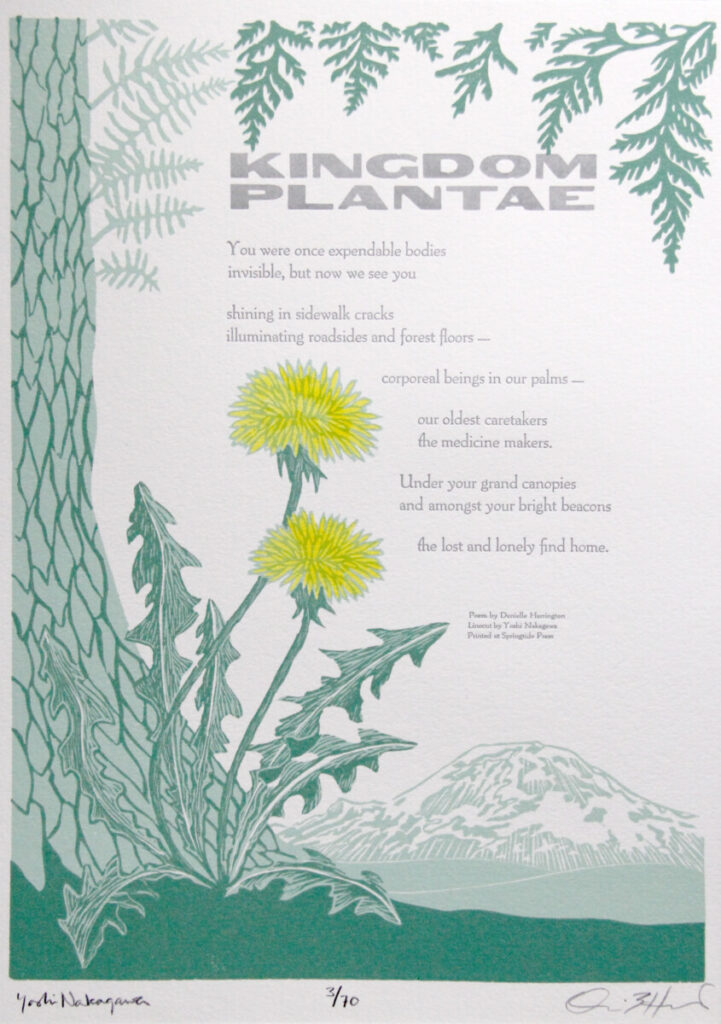 Kingdom Plantae 10x14