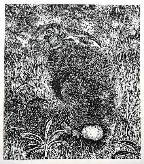 European Hare 10/25, Framed + Matted