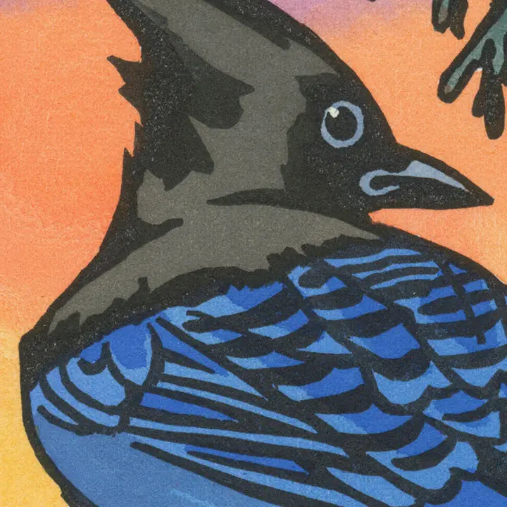 Steller's Jay Card