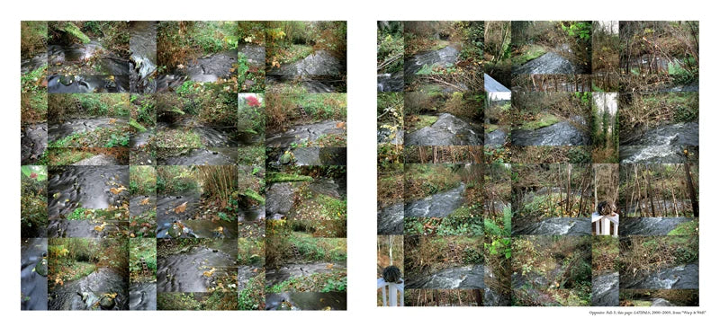 Paul Berger: MULTIPLEX