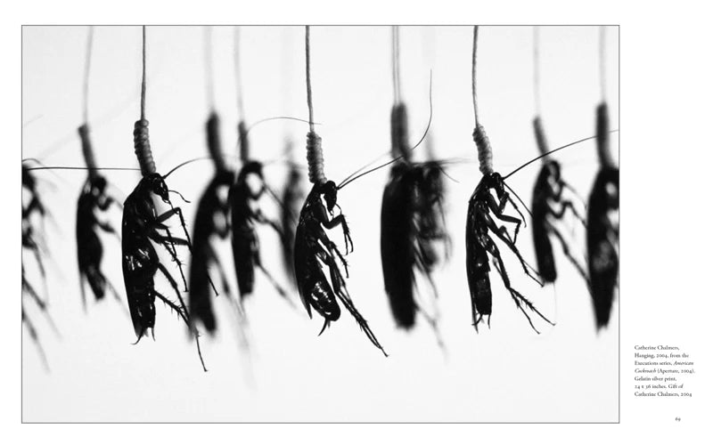Seeing Being Seen: A Personal History of Photography by Michelle Dunn Marsh