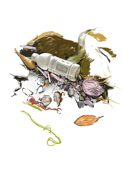 Gatorade (Sea Tangle Suite)