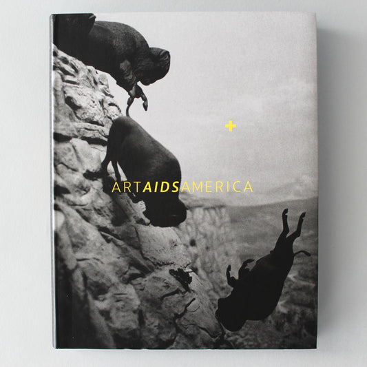 Past Exhibition - "Art AIDS America"