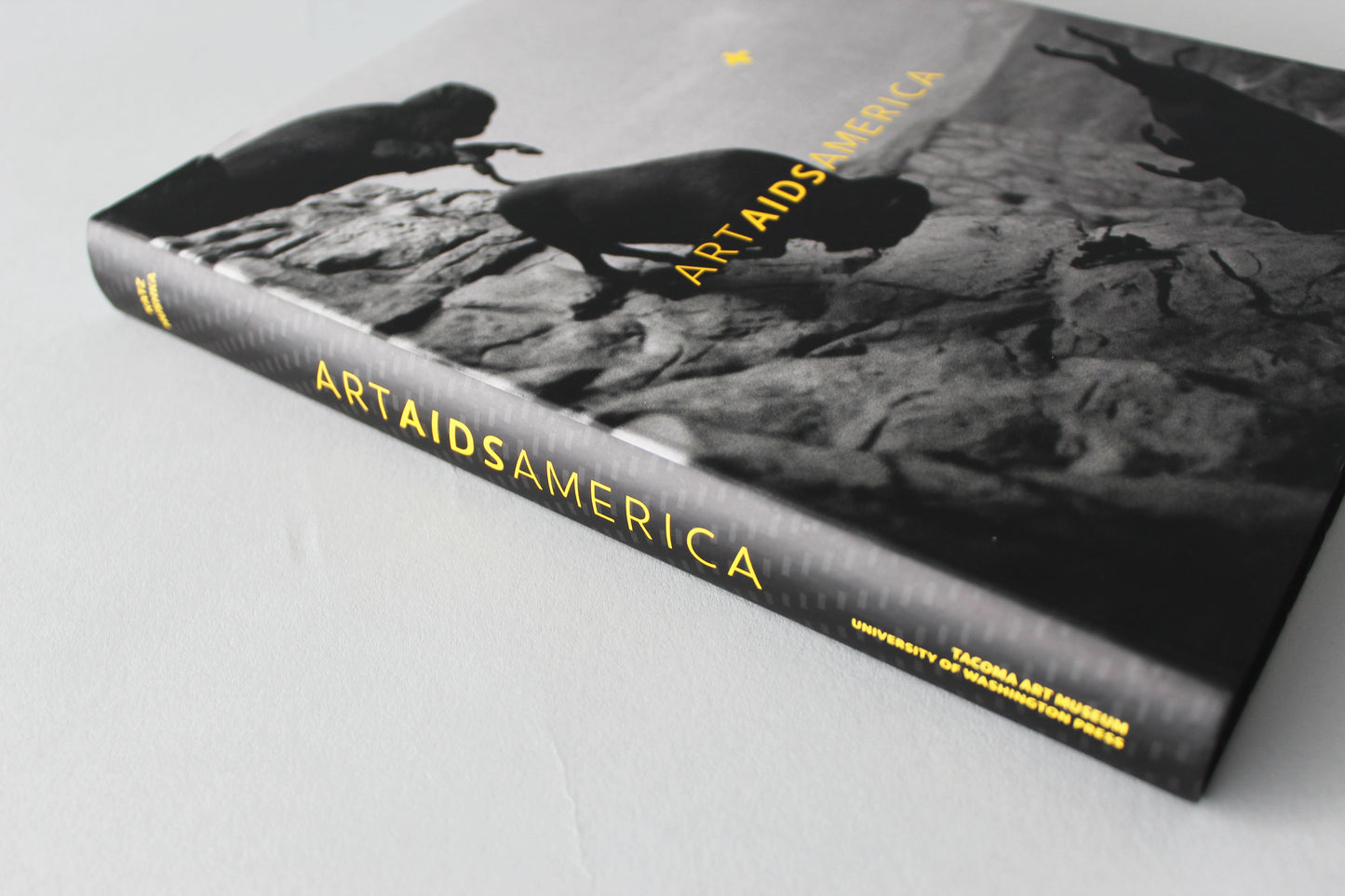 Past Exhibition - "Art AIDS America"